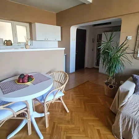 Bright Loft With Athenaeum View 布加勒斯特
